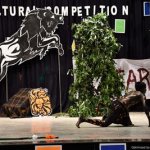 IH Cultural Competition2019
